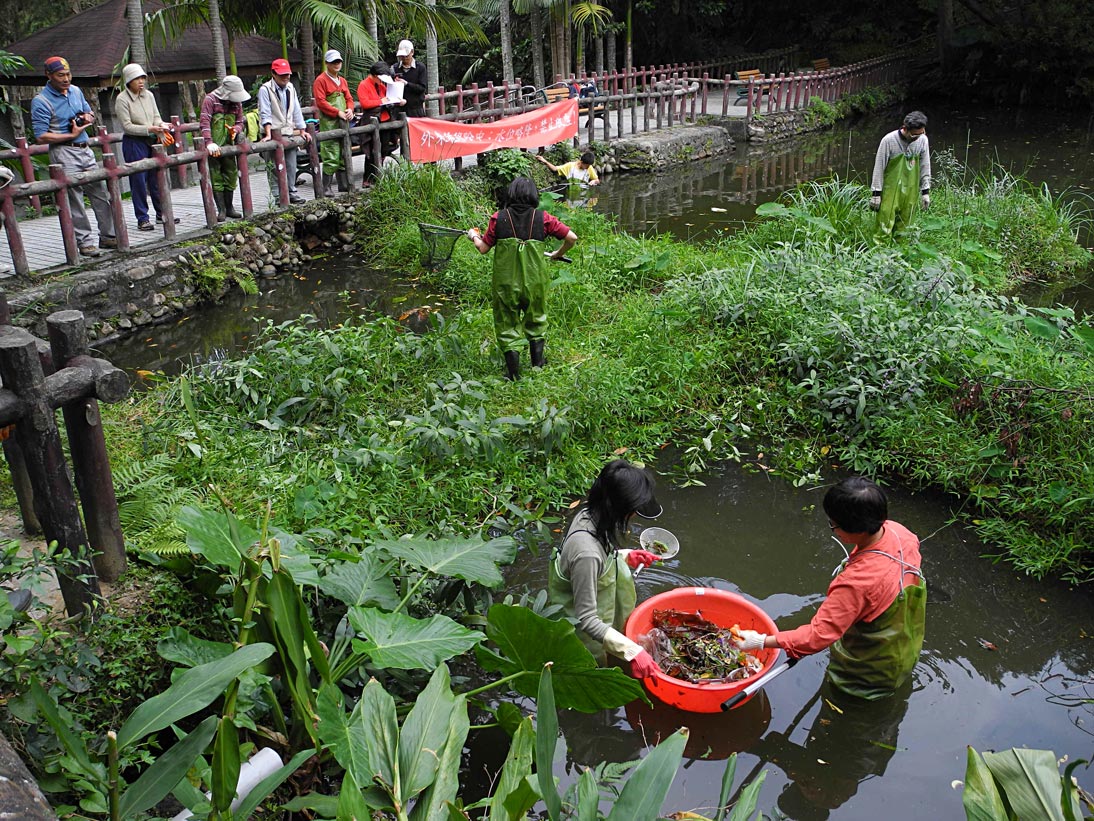 社大學員於浮島上調查植物生長情形