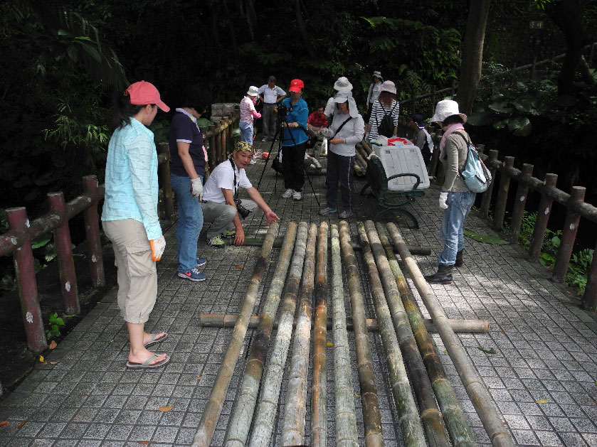 運用竹竿搭建浮島的基底