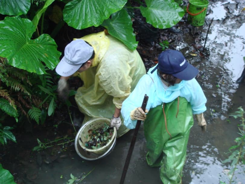 2013萃湖生態復育